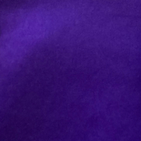 Viking Purple avatar