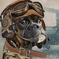 Loudog75 avatar