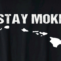 Stay Moke avatar