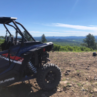 Arrowhead1 avatar