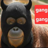 casualmonkey avatar