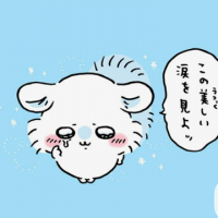 ミンミンゼミ6 avatar