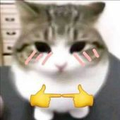 ᦠ Pikara avatar