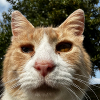 WallyMarf avatar