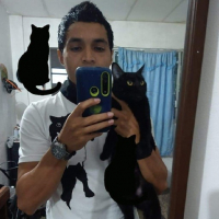 serafin 15 avatar