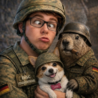 mojomoe avatar