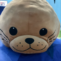 Augjung avatar