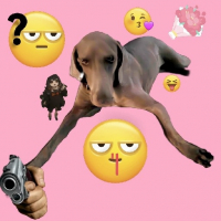 MangoToMango avatar