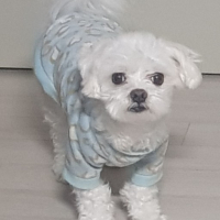 아리사랑해 avatar