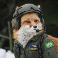 Skyfox 하늘여우 avatar