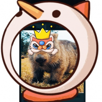 MSand2 avatar