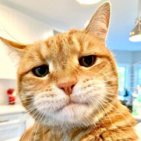 BagongOyen avatar