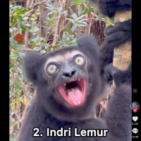 DaRRaM avatar