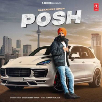 PoshSingh avatar