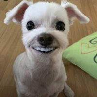 꼬북칩냠냠 avatar