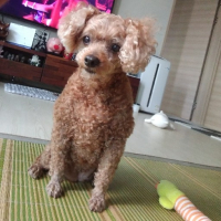 당신곁엔아찌 avatar
