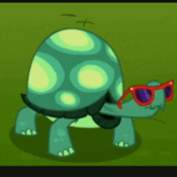 Grandma turtle 207 avatar