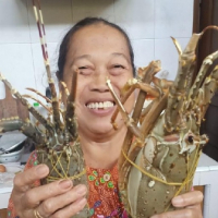 jan สมชาย avatar