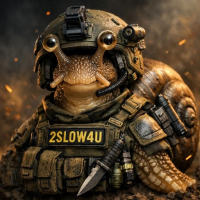 2slow4u avatar