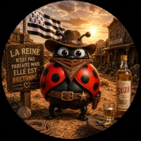 LoloBreizh avatar