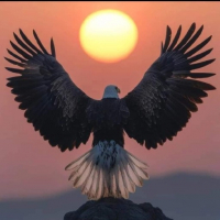 baran4723 avatar