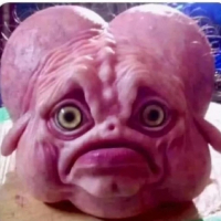 HauntedGherkin avatar