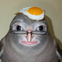 bubble lid avatar