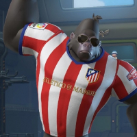 Chonfri avatar