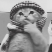 محد قده avatar