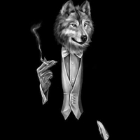 ʀɪғ 404 avatar
