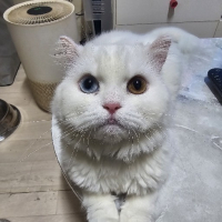 삼성동아재 avatar