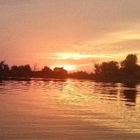 BG acoyy avatar