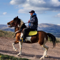 SerhatAslan avatar