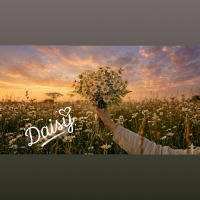 Daisyʚଓ avatar