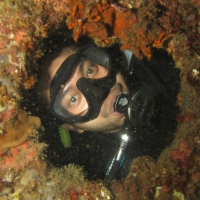 dJamudJago avatar