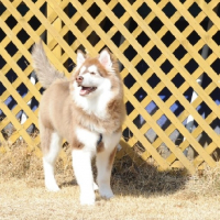 zeus78 avatar