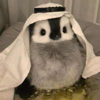 baby poatan avatar