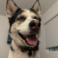 GNUE avatar