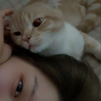 KITTYAYIN avatar
