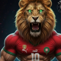 adil05 avatar