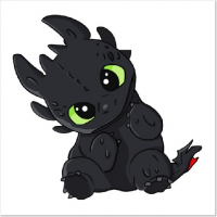 Mr Night Fury avatar