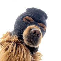 phız avatar