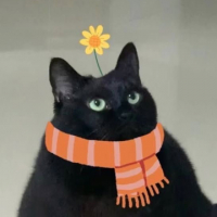 ʙ ᴏ ɴ ɪ ᴛ ᴀ avatar
