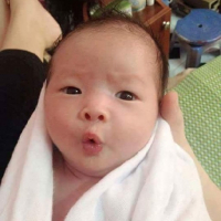 Gấu Vàng avatar