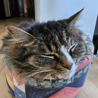 Catiminix ex Booljkf avatar