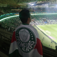 ItamarPalmeiras1914 avatar