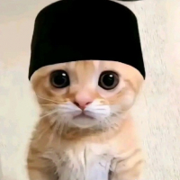 Pak Ustadz avatar