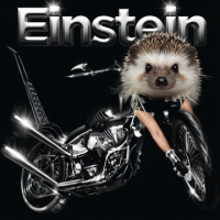 EinsteinOnTheBeach avatar