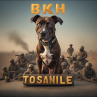 Tosanile avatar