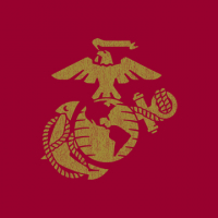 SeeknDestroy1776 avatar